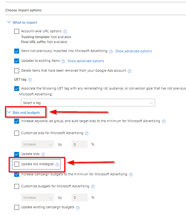 Bids and budgets setting within the Google Ads auto-import