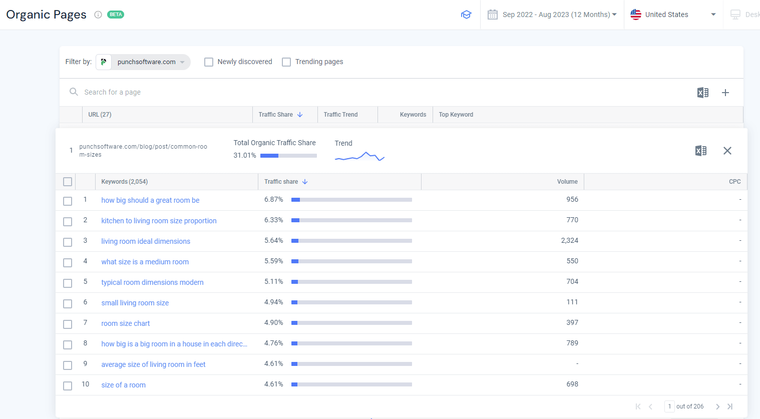 Punchsoftware.com がターゲットとしているキーワードを示すオーガニック ページ レポート