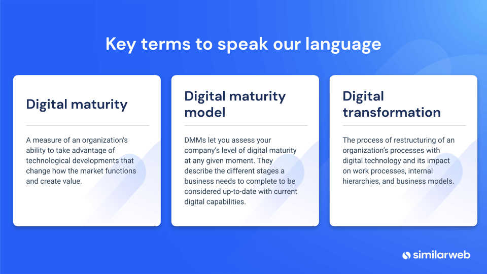 definition of digital maturity index