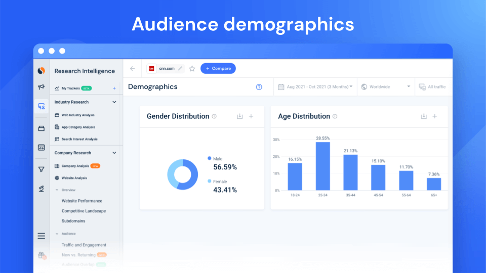 audience demographics