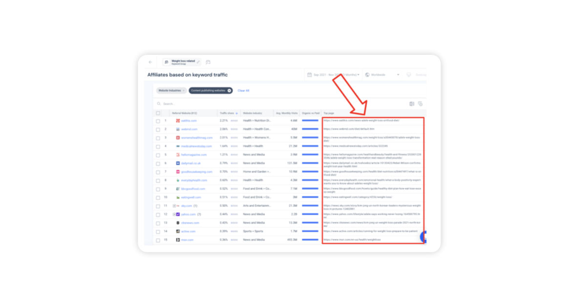 Affiliates based on keyword traffic.