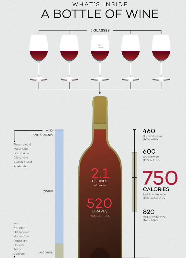 what’s inside a bottle of wine infographic.