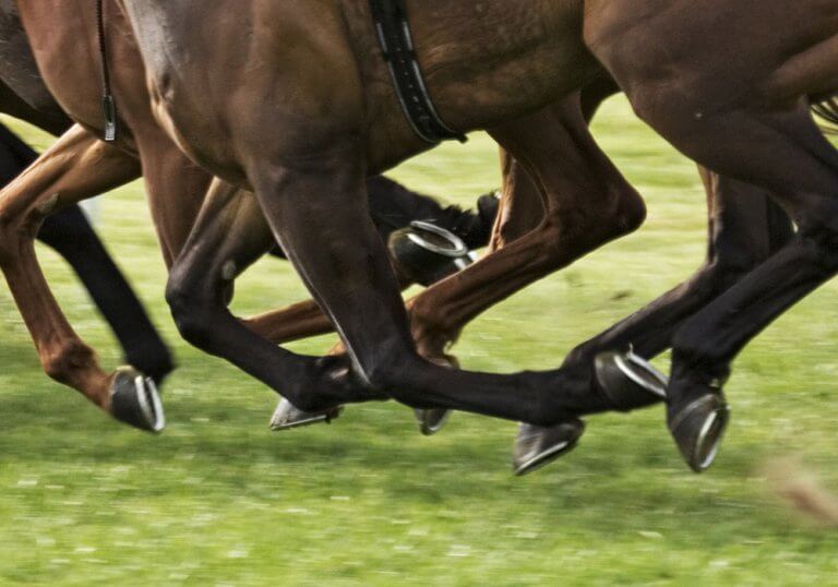 Gambling Gallops Away During Australia's Melbourne Cup