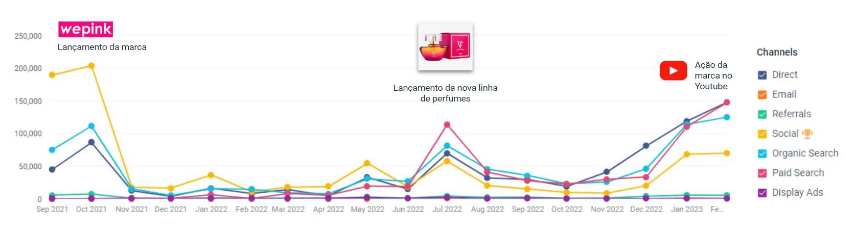 Redes sociais (30.46%) são o principal canal gerador de visitas para a Wepink.