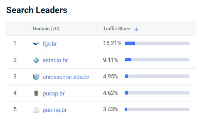 Líderes na estratégia de SEO