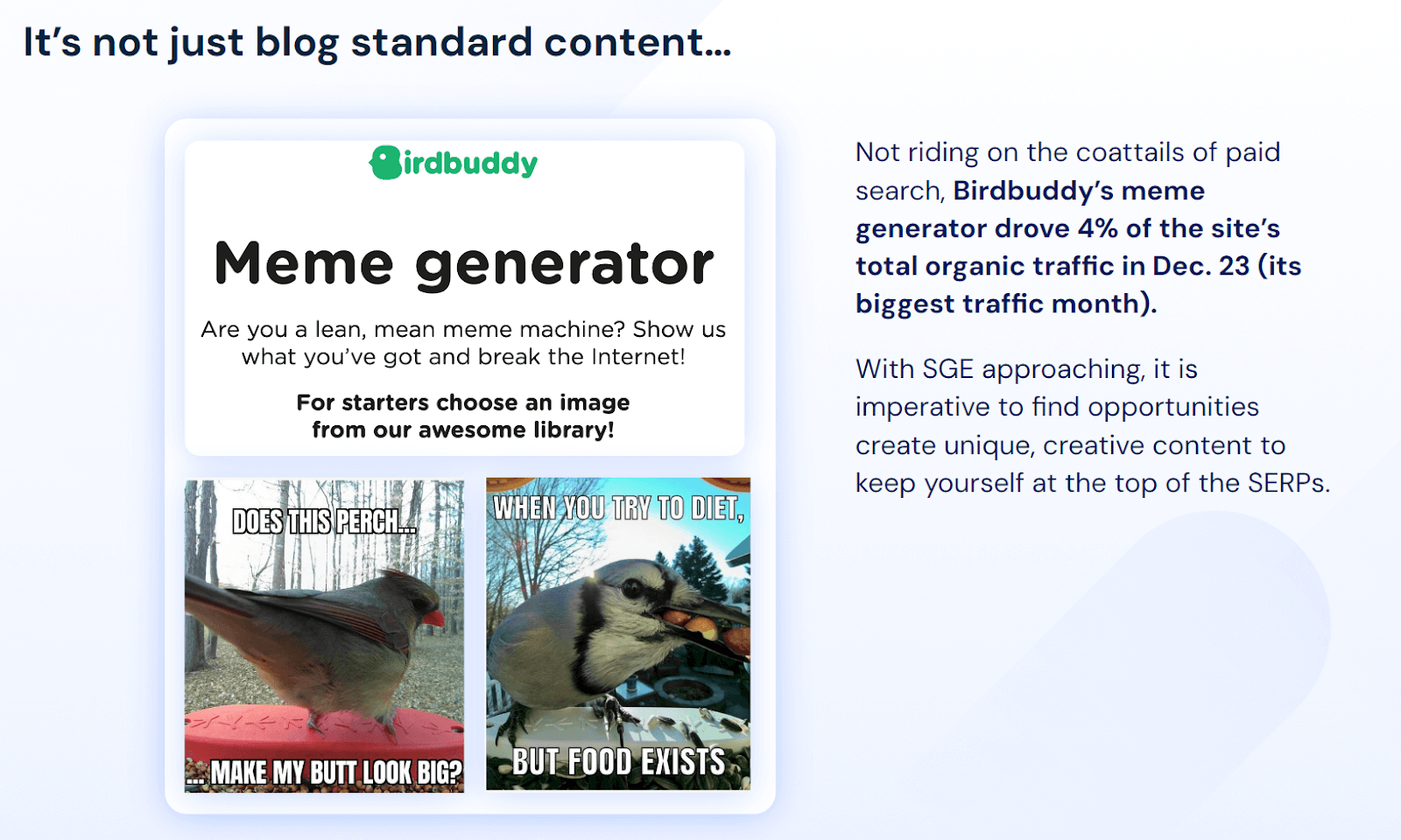 Birdbuddy meme generator