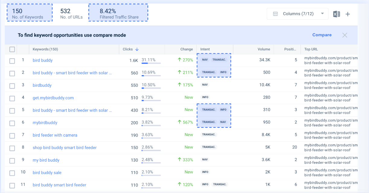 Birdbuddys Website Keywords report