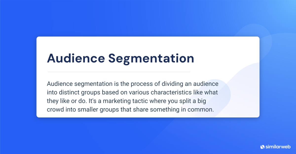 Audience Segmentation Definition