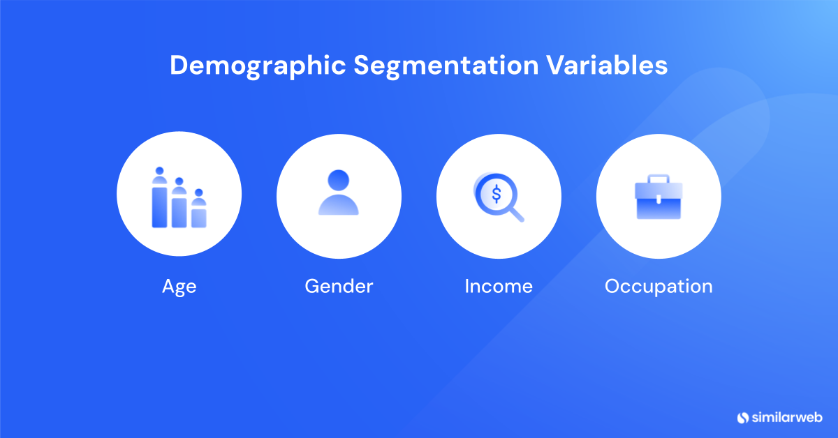 Demographic Segmentation Variables