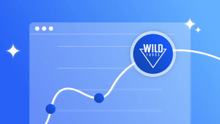 The Wild Foods: Impacto y Análisis de su Tráfico Web