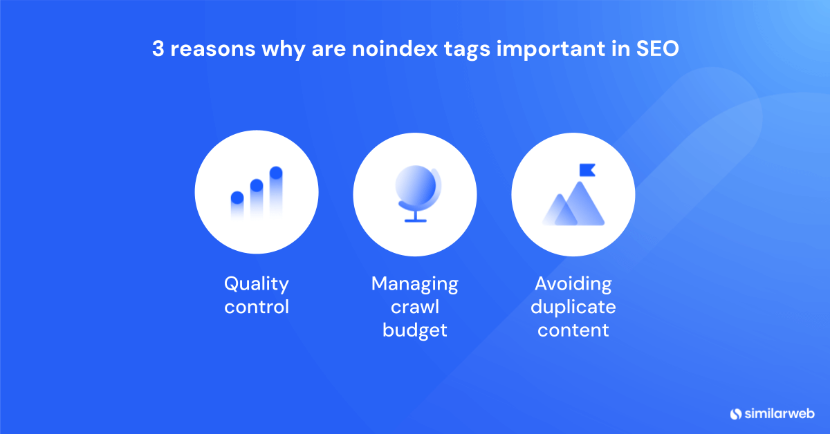 noindex tag seo