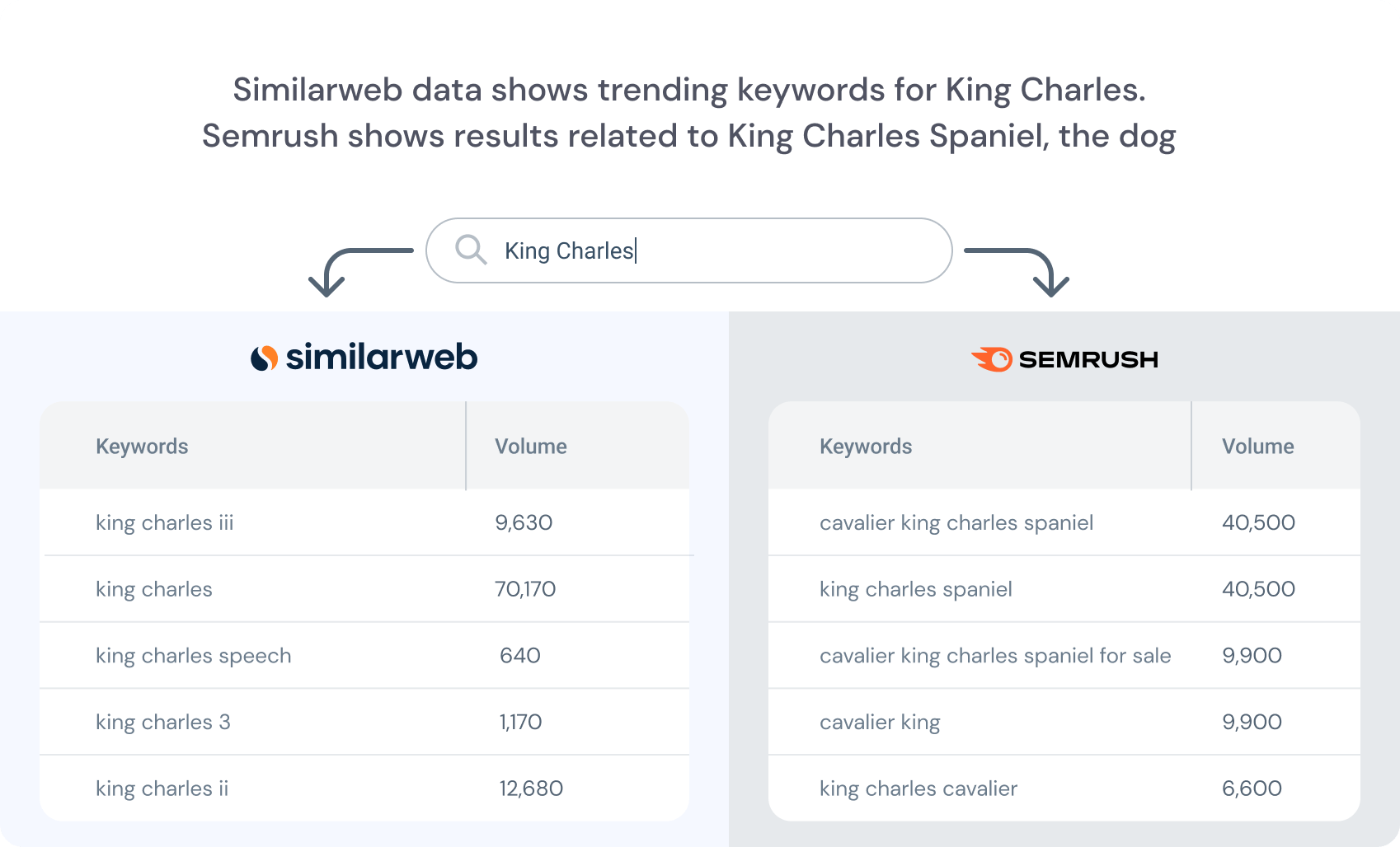 similarweb data shows trending keywords for king charles vs semrush data on king charles spaniel, the dog